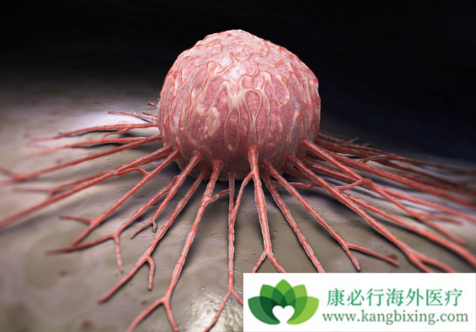 恶性肿瘤是否没得治?