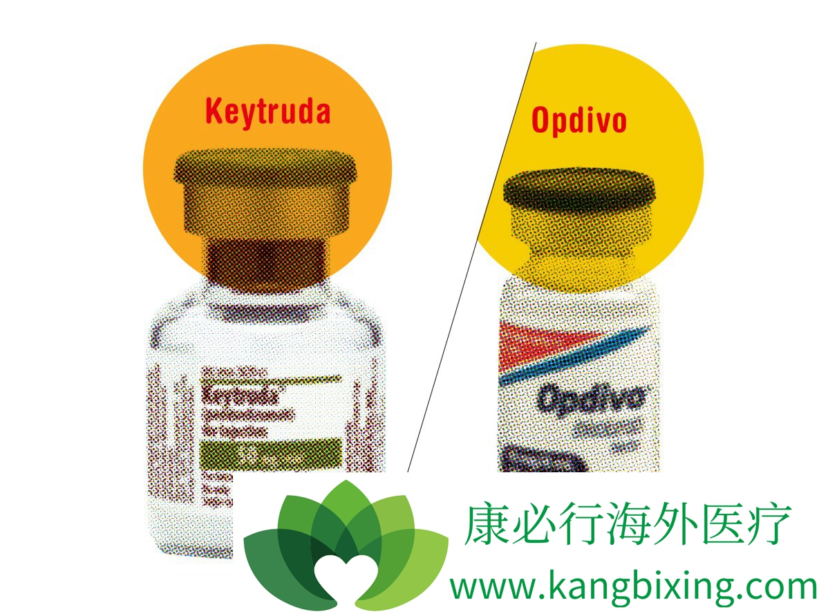 pd-1抑制剂keytruda为什么效果如此好?
