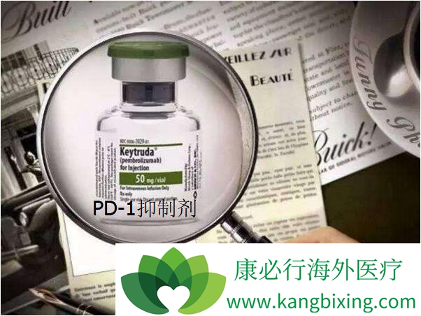 PD-1���Ƽ����Ʒΰ����½�չKeytruda���ϻ���һ�����ƽ�չ�ķ�С�ΰ�