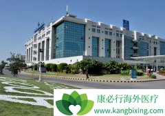 2018��ӡ��ҽ�������г���ģ������