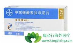 Onyx��ҩ������������(SORAFENIB)�о�����