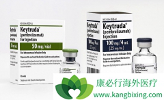 PD-1���Ƽ�Keytruda(pembrolizumab)��������