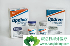 ���䵥��(nivolumab)�����������˫ä�ٴ�����