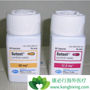 S-TRAC����̽����̹(Sunitinib)����������