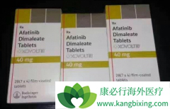 ��������(GILOTRIF)��EGFRͻ�仼����Ч��