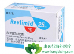 ˫��ҩҵ�����ǶȰ�(�����Ȱ�)�ǹ�������