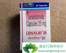 �����׵�(����)����������ϸ������