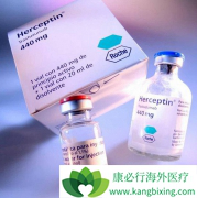 �����鵥��(Herceptin)��HER2�������ٰ���Ч��