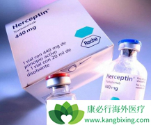 ����͡(Herceptin)��HER2�������ƵĻ�ʯ