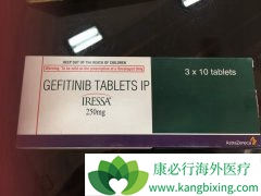 ӡ������ɳ���������ᣩ��Ӣ��ԭ��ҩ��Ч�ӽ�