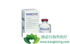 ���������������EGFR��IgG1����¡����