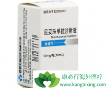 ̩�����������鵥�����Ĳ�����Ӧ��Ҫ����Ϊ����