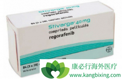 �����(REGONIX)���ٴ�����Ϊ���ߴ���ϣ��