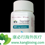 ̩��ɳ(TAGRIX)����Ԯ����Ŀ���Ỽ�߸���