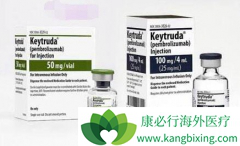 ��Ȭ��(pembrolizumab)���ڹ��������������