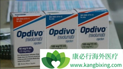 ����FDA������Opdivo(���䵥��)����ʹ�ü���