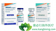 �¼�����׼�����䵥��(nivolumab)�и���ѡ��