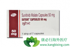 �������ᣨSUTENT����������ϸ�����ı�׼�Ʒ�