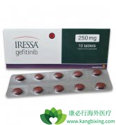 ä������ɳ��Iressa���ķΰ�����Ҫ���ڸ���