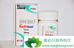 ������������Ƭ(GEFITINIB)��ԭ��ҩ������