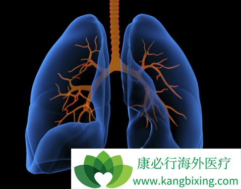 �ΰ���ת��