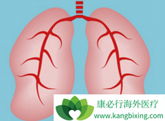 ���ڷ�Сϸ���ΰ�������ת�Ƶĸ��ʽϸ�