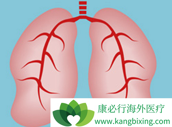 ��Сϸ���ΰ�