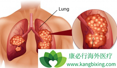 �����Է�Сϸ���ΰ����Ƶİ���ҩ���й�����