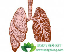 �ΰ�������������֮������ñȽϺ�