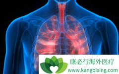 �����ķΰ�������ʳ������Щ���������