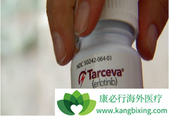 ����ѡ������ɳ�����޿�(ERLOTINIB)�ķ���