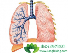 �����к����ҽ���ܷΰ����˳�ʲô��