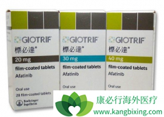GILOTRIF(AFATINIB)����EGFRͻ��ķΰ�