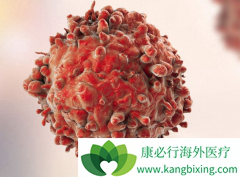 �ճ���˵�Ķ��������ǰ�֢��