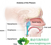 �ǲ���Ѫ�����ڱ��ʰ�֢״֮һ