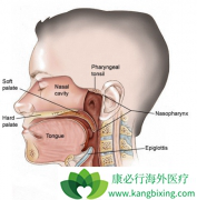 �����д�Ѫ�����ڳ����ı��ʰ�֢״