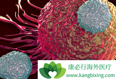 �������ٰ�θ���Ȱ�֢���κ���