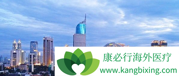 ҽ������