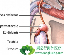 غ���״��Ƿǳ����м��غ�谩֢״