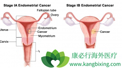 �����ӹ���֢״��Ҫ�����������������