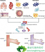 ֻ�ж��������Żᷢ�鰩֢ת��