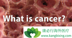 ��֢������ָ������ס�İ�֢������ԭ�������ϳ���