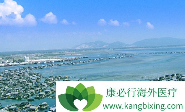 ҽ������