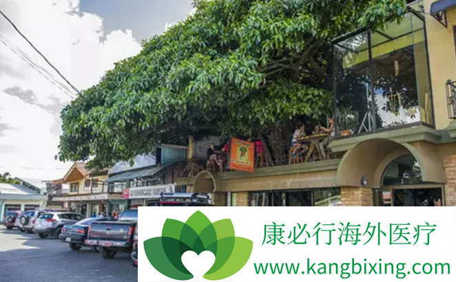 ҽ������