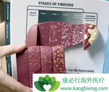 ����ѪҺ������������;���ᵼ�±��δ�Ⱦ��