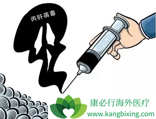 ���ο���������