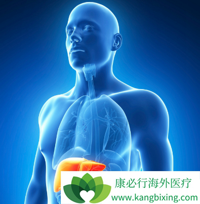 ������ʲô��