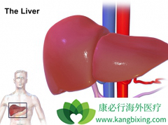 ӡ�ȼ��������Ʊ����ܳ����κ���