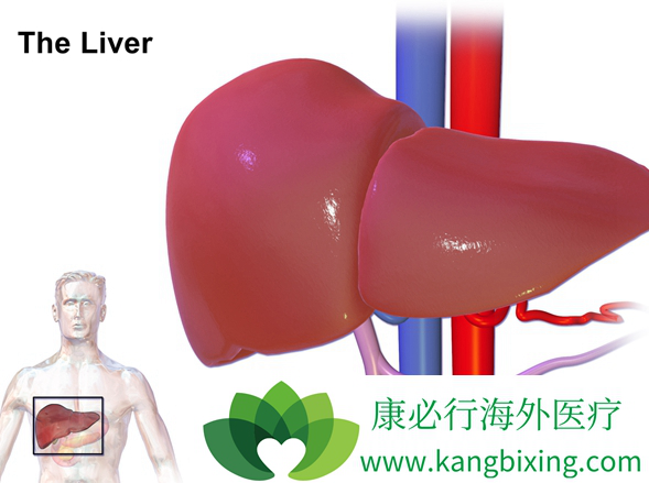 �����ܳ����κ���