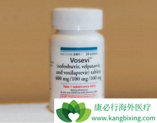 �뼪������ȼ������Ĵ�Vosevi��һ��Ԥ������